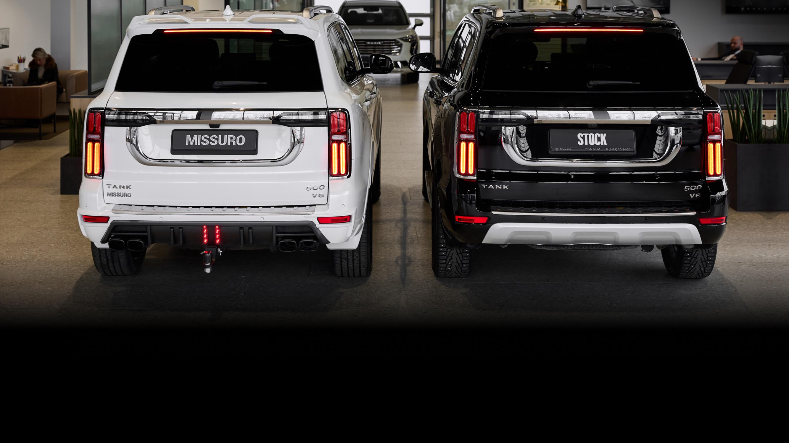 Раздвоенная выхлопная система из нержавеющей стали Миссуро Ларт Дизайн с насадками для Танк 500 Премиум |  Нержавеющая сталь |  С матовыми насадками | Штатный монтаж