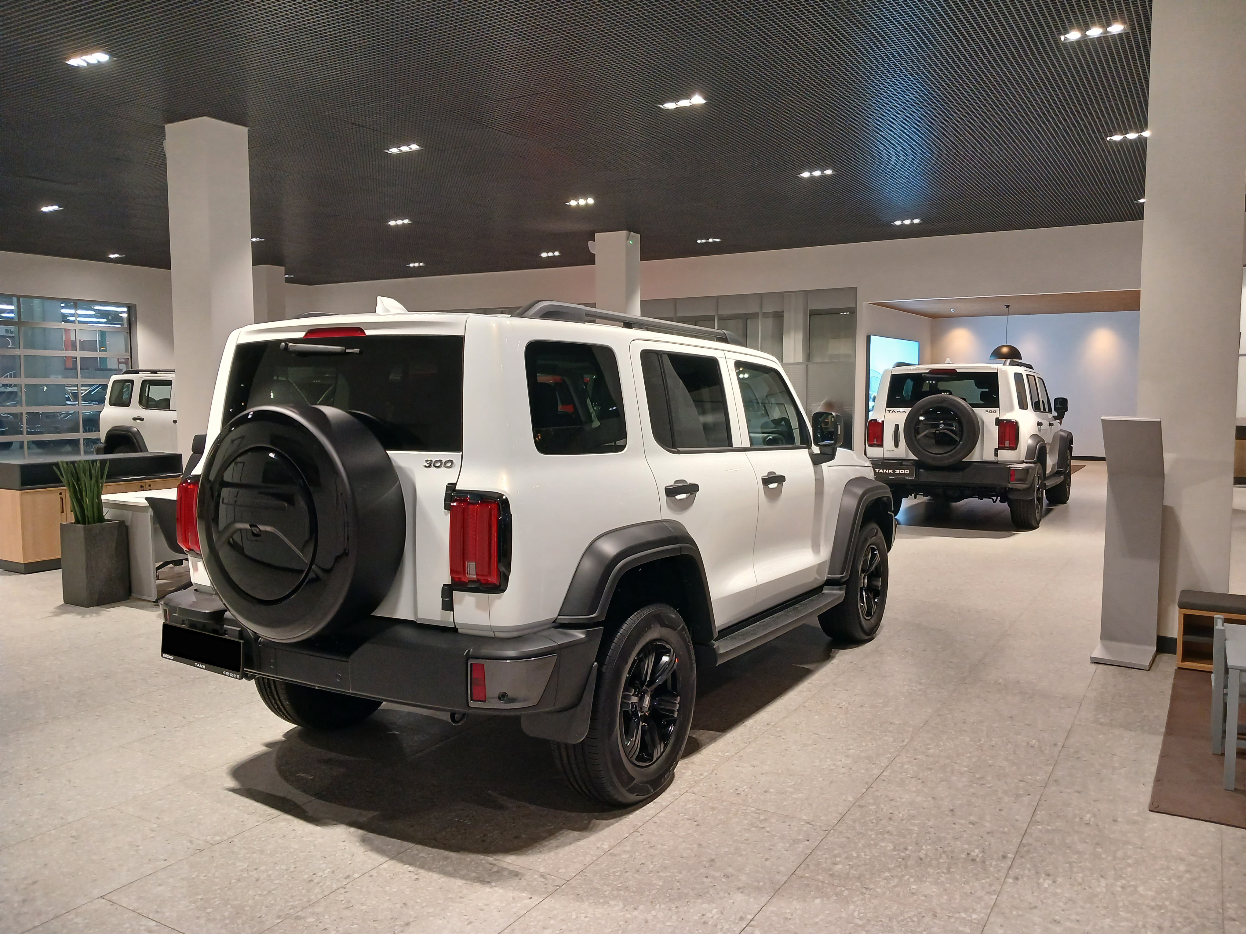 13219 Бокс Inline (265/65 R17) для запасного колеса Tank 300