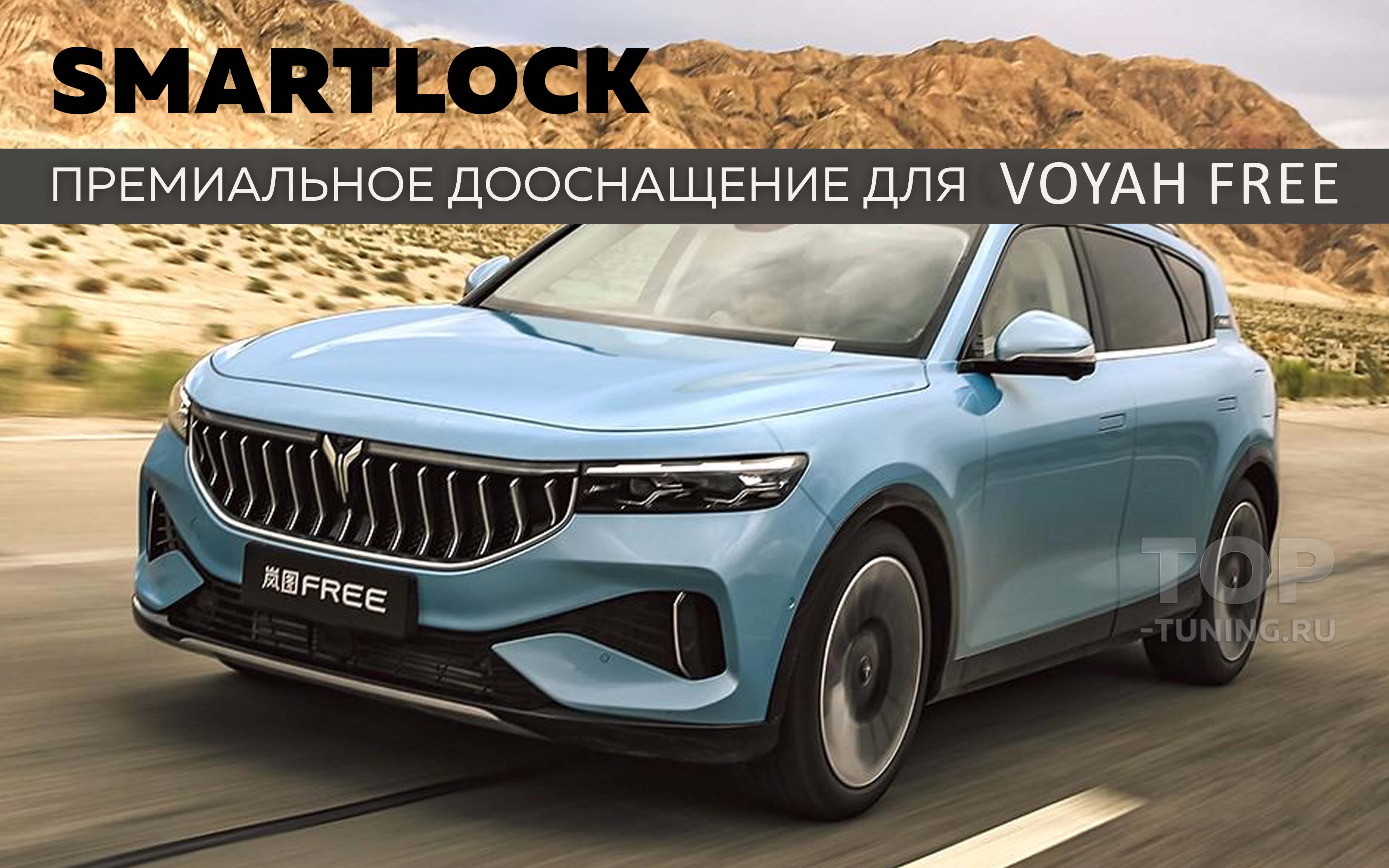 13694 Доводчики дверей для Voyah Free