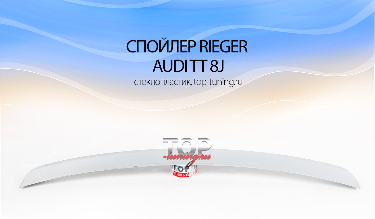 481 Спойлер крышки багажника - Обвес Rieger на Audi TT 8J
