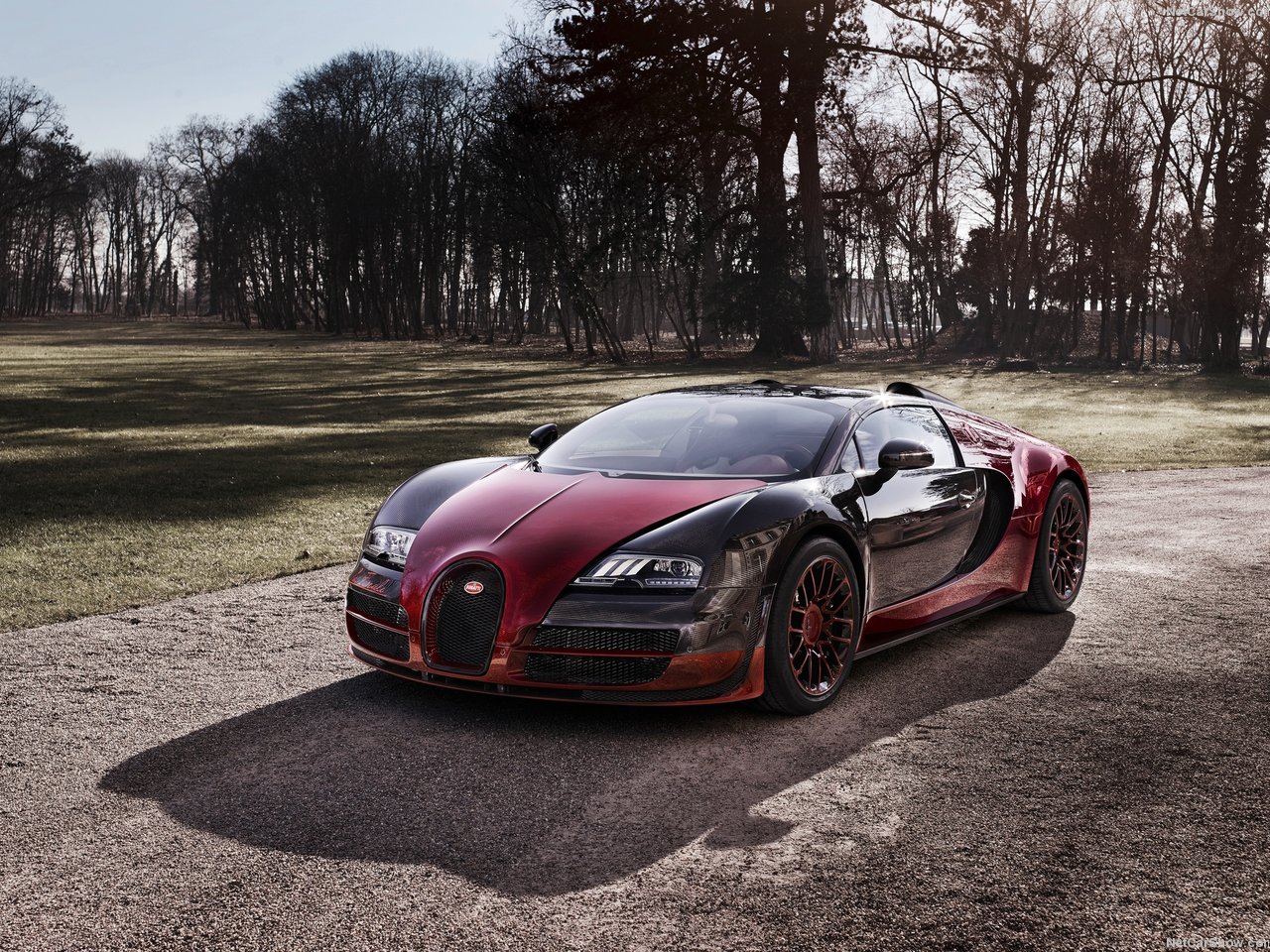 Необычный случай - Bugatti Veyron заехал на автоматическую мойку