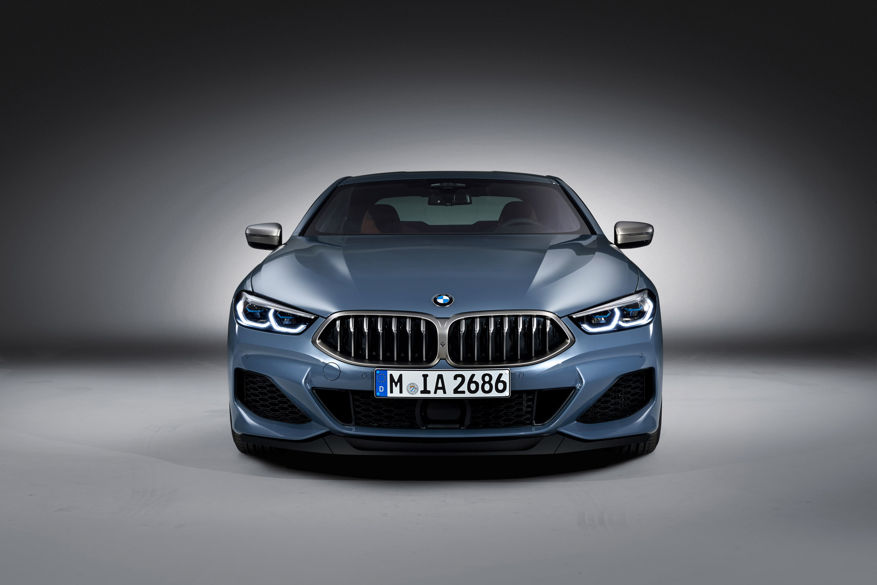 Команда BMW, наконец-то, представил последнее купе 8-ой серии.