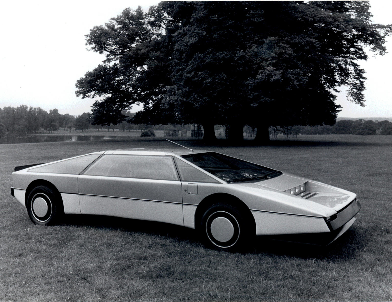 Разработанный Уильямом Таунсом, который также разработал дизайн клиновидной Lagonda, Bulldog был поразительным суперкаром со средним расположением двигателя, угловатым дизайном и дверями типа «крыло чайки». В основе проекта лежал 5,3-литровый двигате