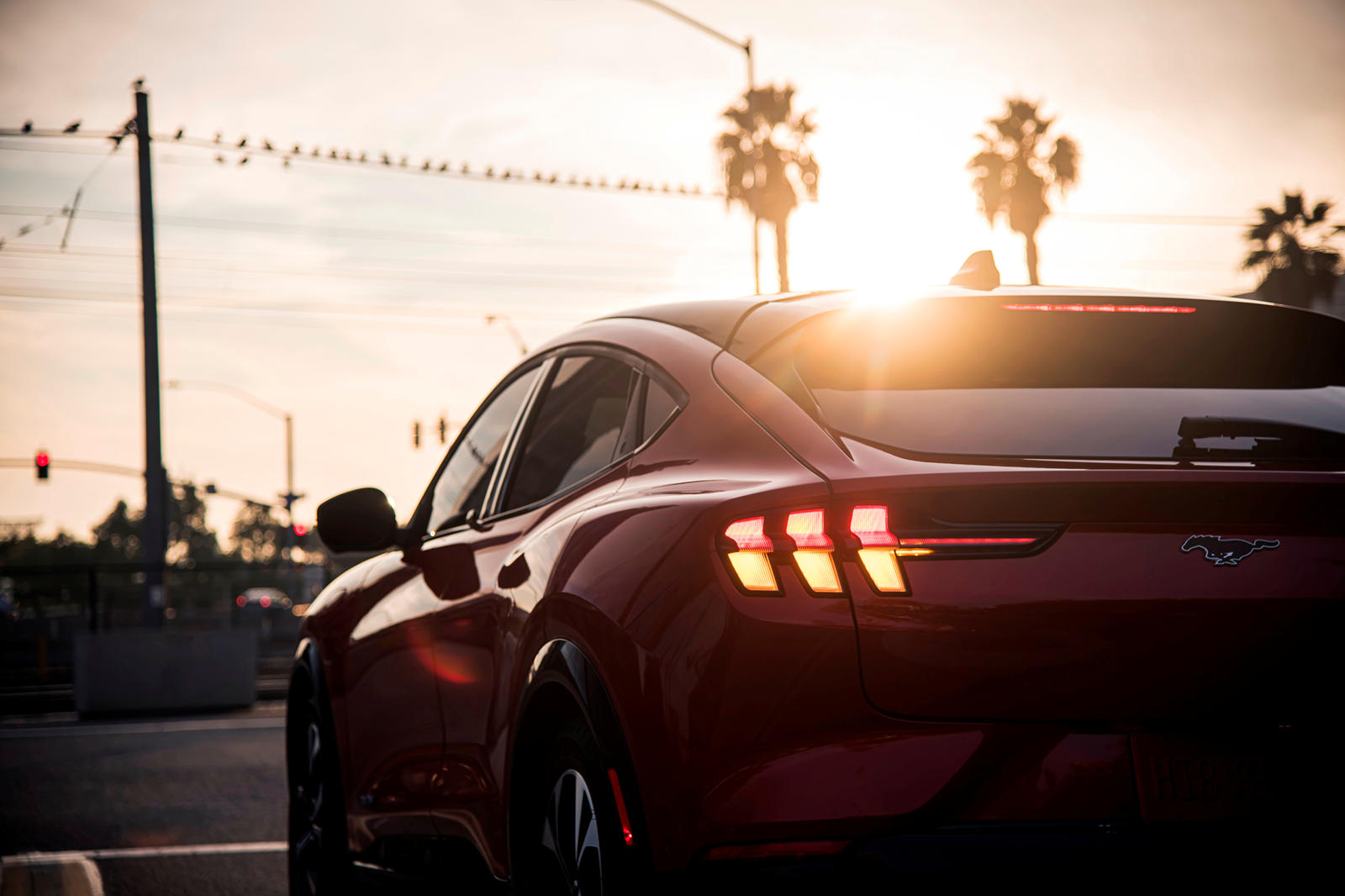 2021 Ford Mustang Mach-E проходит еще одно серьезное испытание