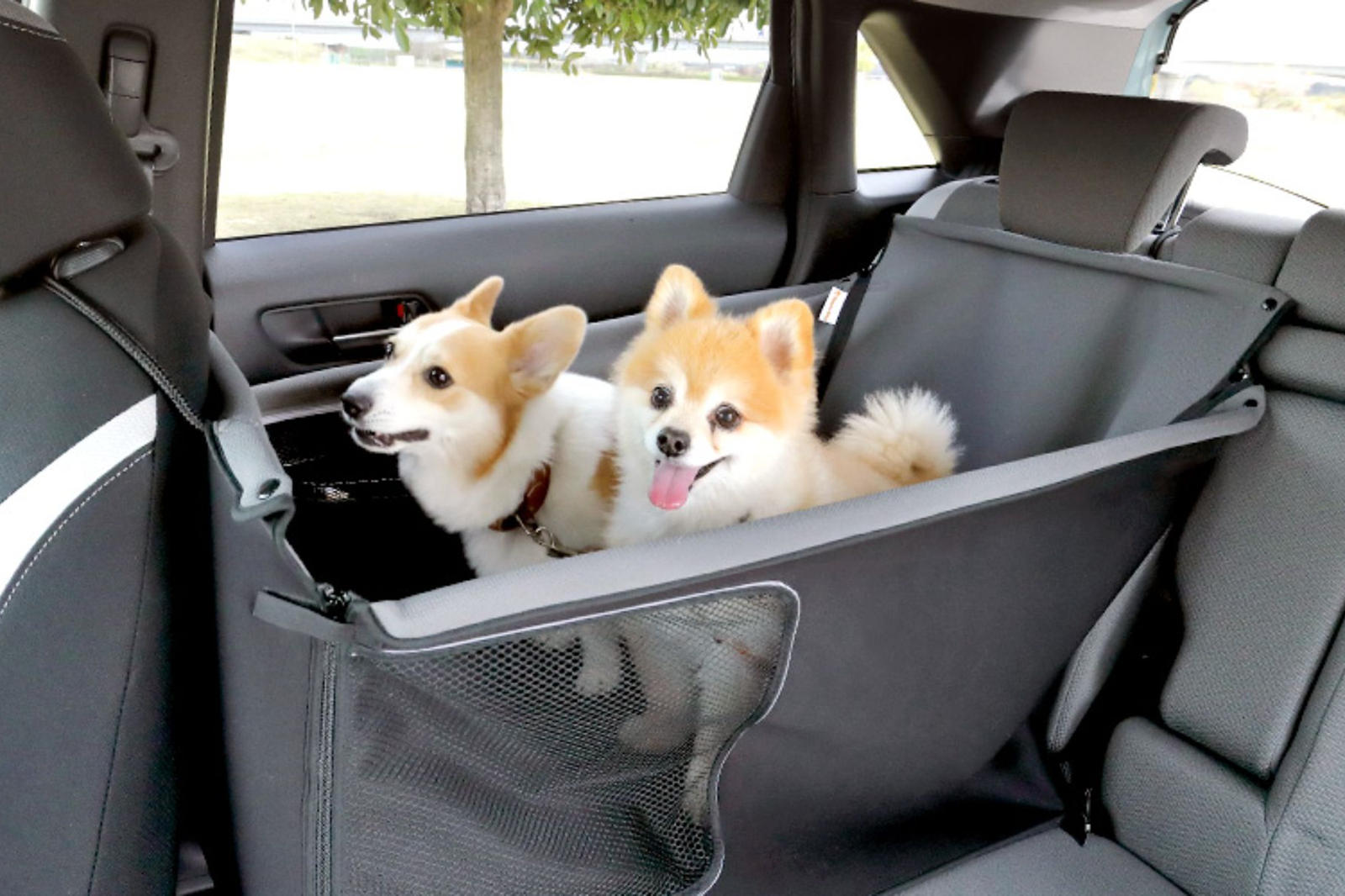 Honda также предоставляет точные размеры проемов дверей и дверей багажника, чтобы владельцы могли принимать решение о покупке исключительно на основании того, смогут ли их собаки с легкостью садиться в машину и выходить из нее.