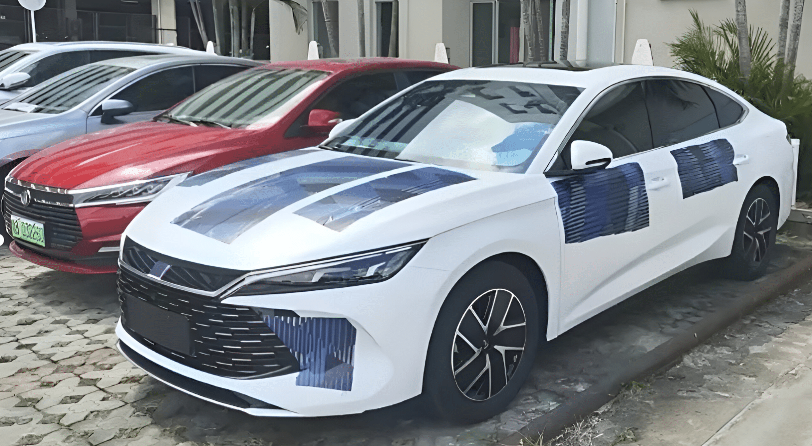 Byd qin l 2024