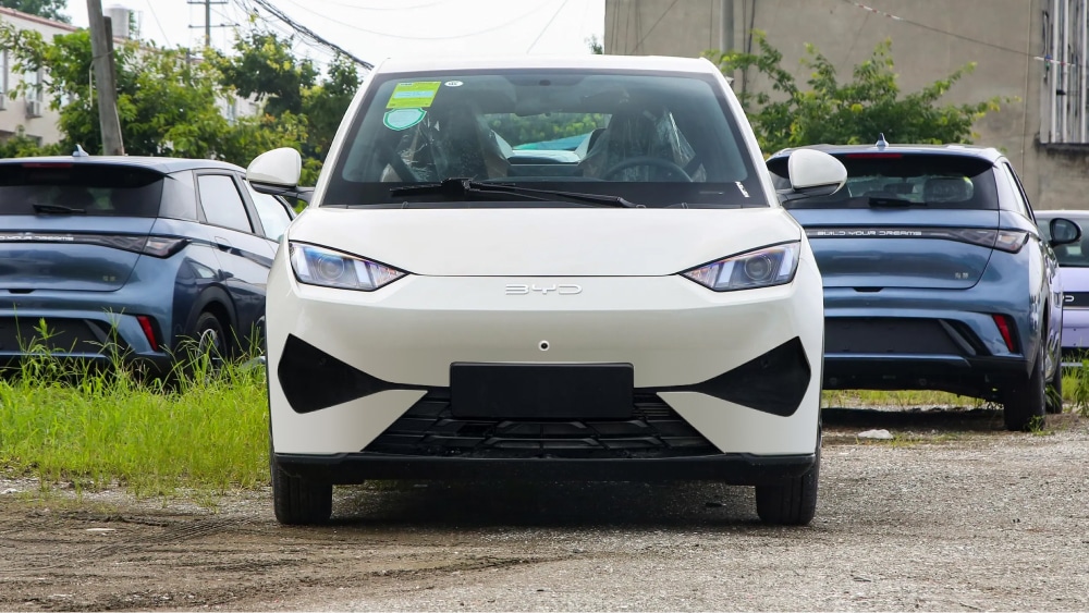 BYD Seagull появился на китайском рынке в апреле 2023 года. Это небольшой четырёхдверный электрический хэтчбек, предназначенный для городских поездок. Он вмещает четыре человека, оснащён электромотором мощностью 74 л. с. и имеет запас хода до 405 км 