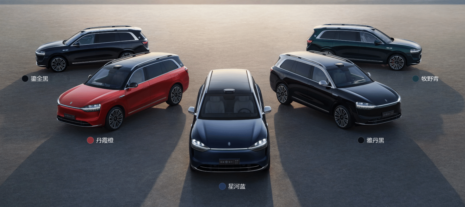 Недавно исследовательская организация обнародовала рейтинг выручки от продаж автомобилей на китайском рынке легковых транспортных средств в 2024 году