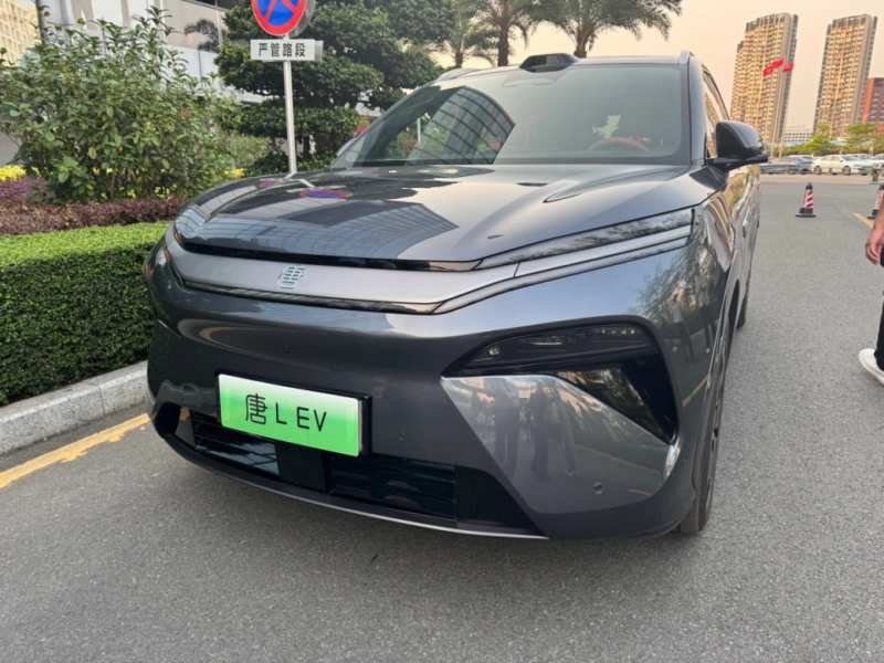 Размеры Tang L составляют 5040 мм в длину, 1996 мм в ширину и 1760 мм в высоту, а колёсная база &mdash; 2950 мм. Это позволяет отнести автомобиль к сегменту внедорожников средней и большой вместимости. В салоне могут разместиться шесть или семь человек.