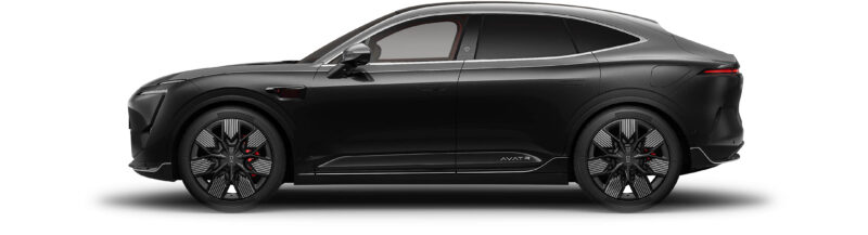 Согласно политике сингапурского правительства, для покупки автомобиля необходимо иметь свидетельство о праве собственности (COE), стоимость которого составляет около 100 000 сингапурских долларов. Кроме того, за новые автомобили в Сингапуре нужно зап