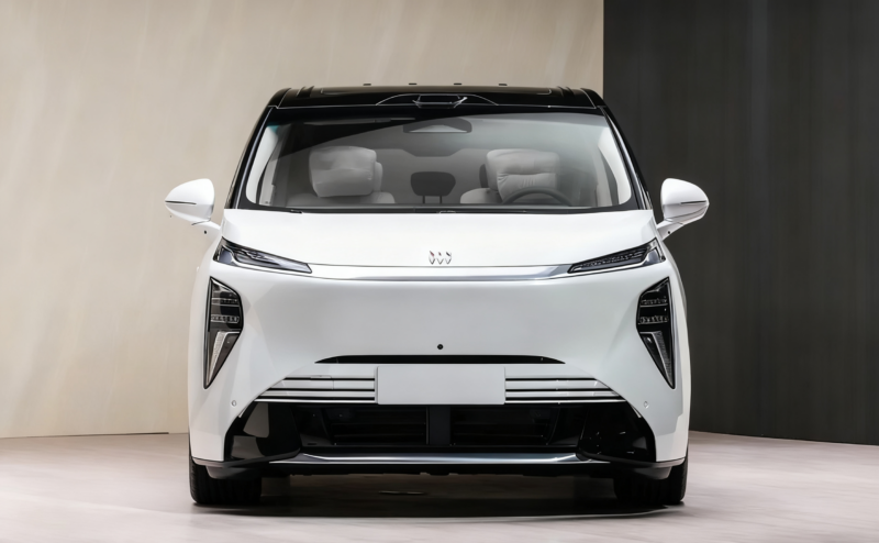 Electra Encasa имеет внушительные габариты: длина &mdash; 5260 мм, ширина &mdash; 2000&ndash;2023 мм, высота &mdash; 1835 мм, колёсная база &mdash; 3160 мм. Это делает его самым большим автомобилем Buick, представленным на китайском рынке.