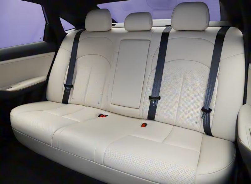 Nissan N6 рассматривается для будущего выпуска в Юго-Восточной Азии, на Ближнем Востоке и в некоторых частях Латинской Америки. Являясь последним среднеразмерным гибридным седаном компании с подключаемым модулем, N6 знаменует собой его первое появлен