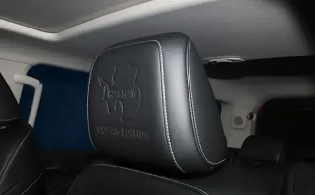 Серия, в которую вошли две модели, была впервые представлена на автосалоне в Гуанчжоу в 2025 году, где начался приём предварительных заказов. Модель Tank 300 Polar Edition выпущена тиражом 300 экземпляров по всему миру. Она разработана для профессион