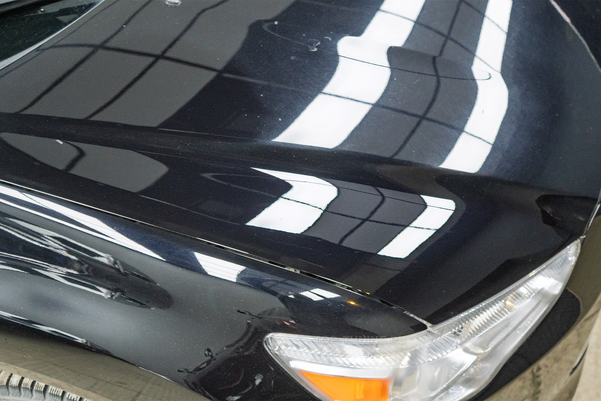 110898 Удаление вмятин PDR на кузове Mitsubishi Outlander и BMW X5 G05