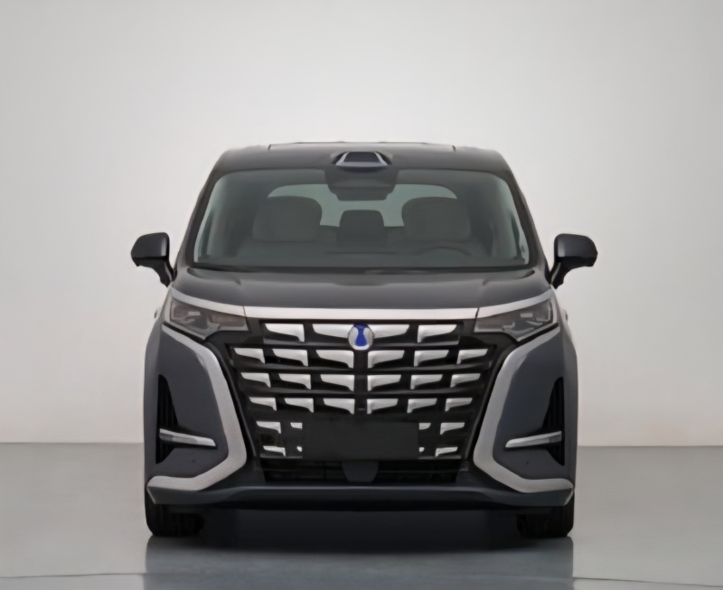 Полная масса составляет 3595 кг. Снаряжённая масса увеличилась с 2915 кг до 3015 кг &mdash; это свидетельствует об увеличении ёмкости аккумулятора. Для сравнения: текущая полноприводная модель оснащена батареей Blade ёмкостью 103 кВт&middot;ч, обеспечивающей запа