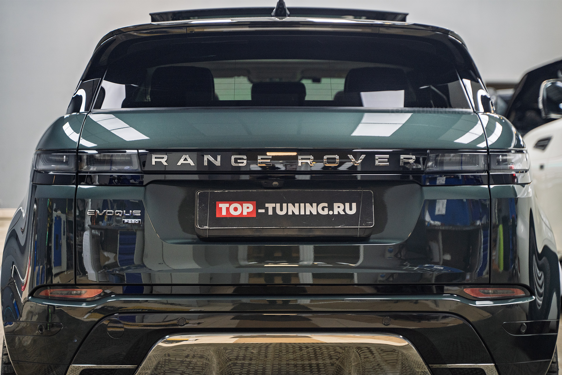 Детейлинг кузова + химчистка салона Range Rover Evoque II 