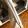 Накладки Bastion на внутренние пороги дверей для Ford Focus 2