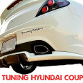 Диффузор заднего бампера тюнинг Zest на Hyundai Tiburon Coupe GK
