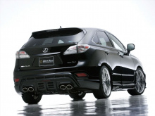 Накладки на пороги и двери - WALD Black Bison для Lexus RX 270/350/450h - 3 поколение 
