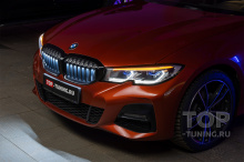 10979 Подсветка Iconic Glow в решетку радиатора BMW 3 G20