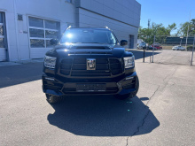 Решетка радиатора Миссуро Ларт Дизайн для Танк 500 Цвет по заводскому коду | Премиум |  Стеклопластик