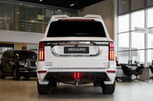 Верхний спойлер  Миссуро Ларт Дизайн для Танк 500 Цвет по заводскому коду | Премиум |  Стеклопластик | C эмблемой