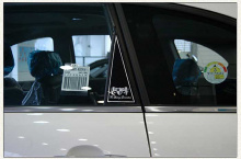 Стайлинг Киа Соренто - накладки на задние стойки - от компании ArtX.