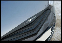 Тюнинг Хендай Велостер - карбоновая решетка радиатора