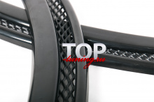 ДЕКОРАТИВНЫЕ НАКЛАДКИ С СЕТКОЙ (ЖАБРЫ) - ТЮНИНГ МИТСУБИСИ ЛАНСЕР 10 (Х)