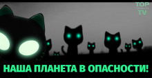 Котики-инопланетяне, с глазами светящимися в темноте. Подголовники, подушки под спину, смешные игрушки. Завоеватели. Magic.