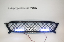 5934 Решетка в бампер с ДХО на Hyundai Solaris