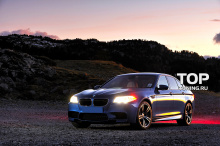 6566 Накладки на пороги M5 на BMW 5 F10