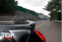 8278 Спойлер Ognizoo Хэтчбек на Hyundai Solaris