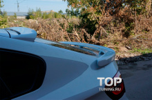  955 Спойлер багажника - Обвес HM Tycoon EVO M на BMW X6 E71