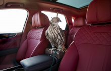 Bentley представил Bentayga Falconry, созданный на собственном подразделении бренда Mulliner.