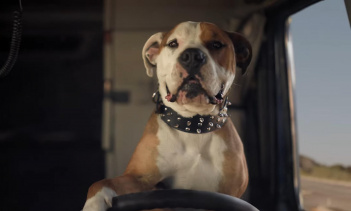 «Я хотел бы сделать это», сказал солдат Хизер Экстман. «Я работаю полицейскким в течение почти 12 лет, и ничего не слышал подобного оправдания. Я учавствовал во многих погонях на высокой скорости, я остановил много машин, и никогда не получал оправда