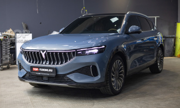 108934 Защитная сетка в бампер и решетку радиатора Voyah Free I под ключ