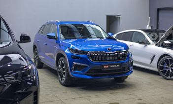 108985 Атермальная тонировка STEK, защитная сетка в бампер Skoda Kodiaq I рестайлинг