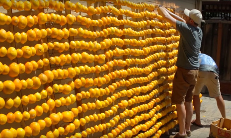 Безумная лимонная батарея используется для электромобиля Volkswagen