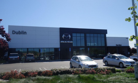 Корова зашла в автосалон и причинила ущерб в размере 2000 долларов