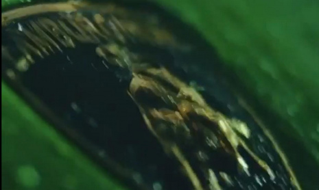 Lamborghini Huracan STO, прежде чем вы должны его увидеть