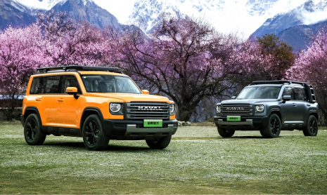 В Китае представили новый Haval Raptor от GWM с силовой установкой ICE