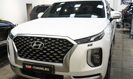 Сетка в бампер Hyundai Palisade I-ого поколения