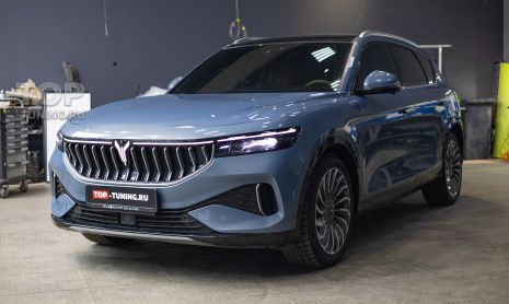 Защитная сетка в бампер и решетку радиатора Voyah Free I под ключ