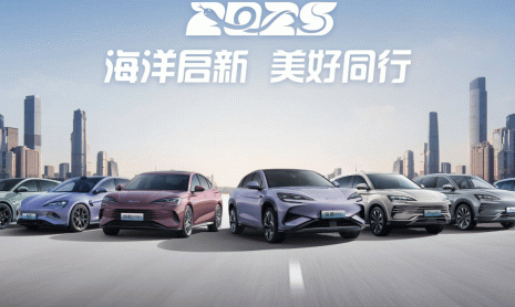 BYD занимает первое место, Mercedes-Benz- второе, Volkswagen - третье место в рейтинге выручки от продаж легковых автомобилей в Китае в 2024 году