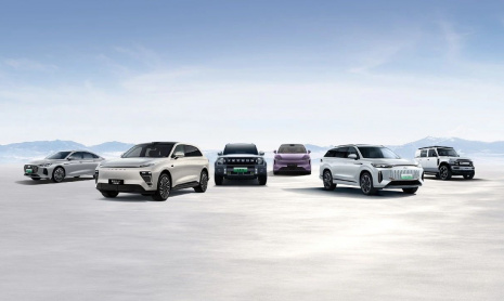 В первом квартале 2025 года группа компаний Chery зафиксировала рекордно высокие квартальные продажи - 620 025 единиц