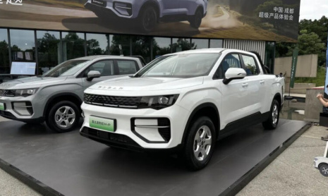 Geely выпустила Radar King Kong EM-P, который будет продаваться за рубежом под названием Riddara Rd6 EM-P