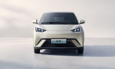 Продажи BYD Seagull (Dolphin Surf) за два года превысили 1 миллион автомобилей