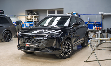 Сетка-фильтр в решетку радиатора Exeed RX