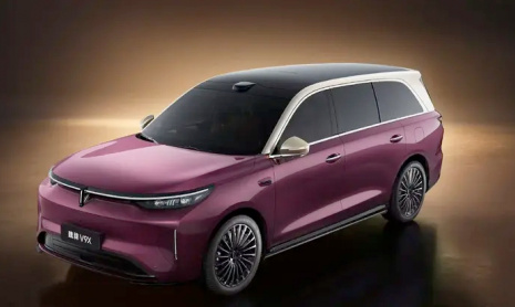 Флагманский внедорожник Wey V9X открывает предпродажи: старт продаж EV и HEV запланирован на этот год